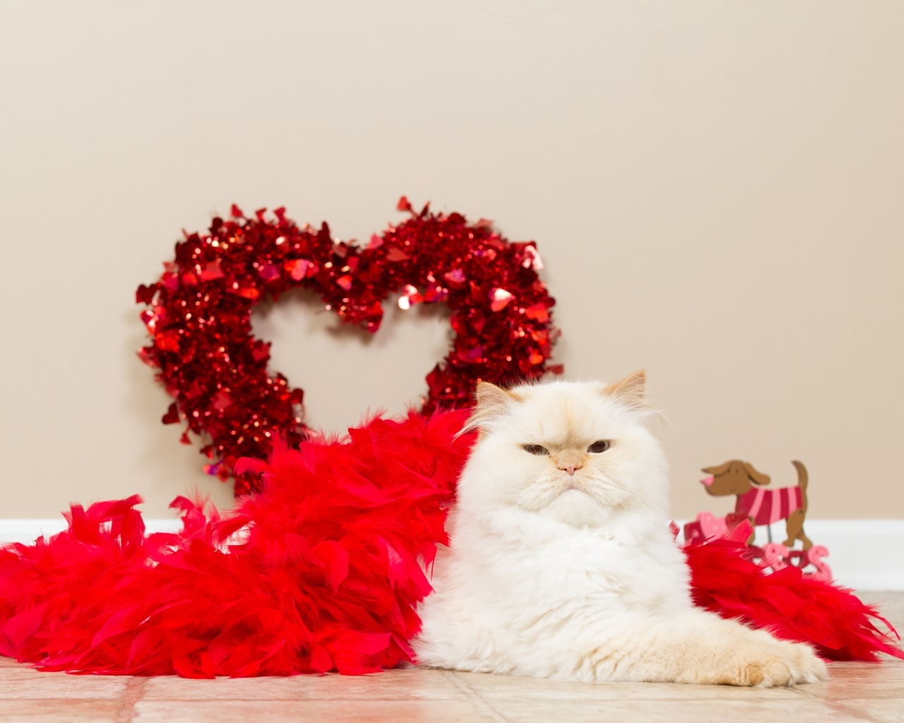 Большой пушистый кот с красным сердцем