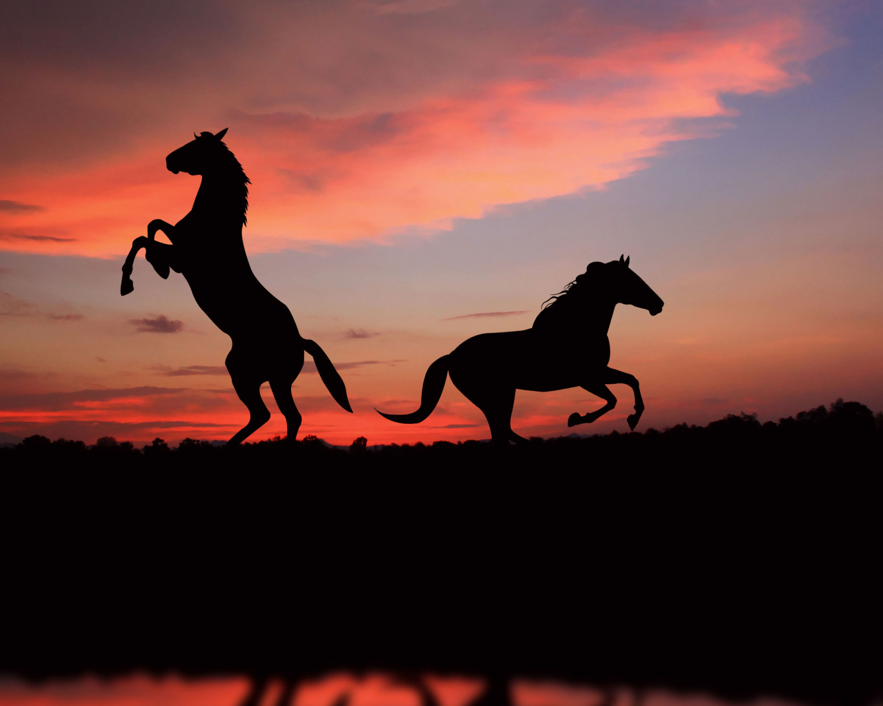 Два силуэта лошади на фоне заката