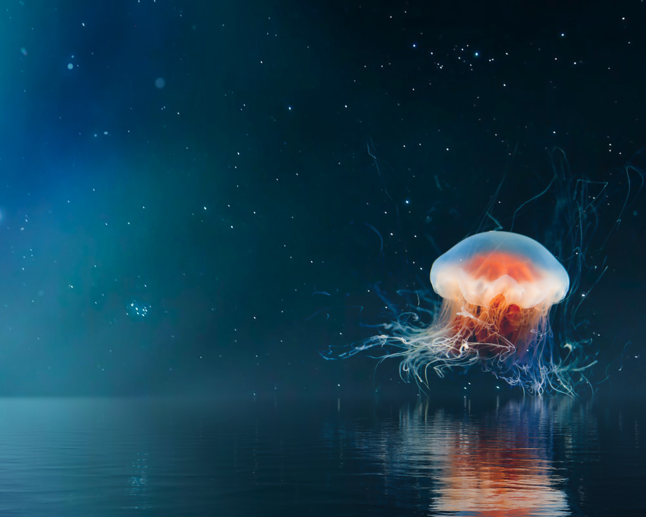 Большая медуза на фоне неба