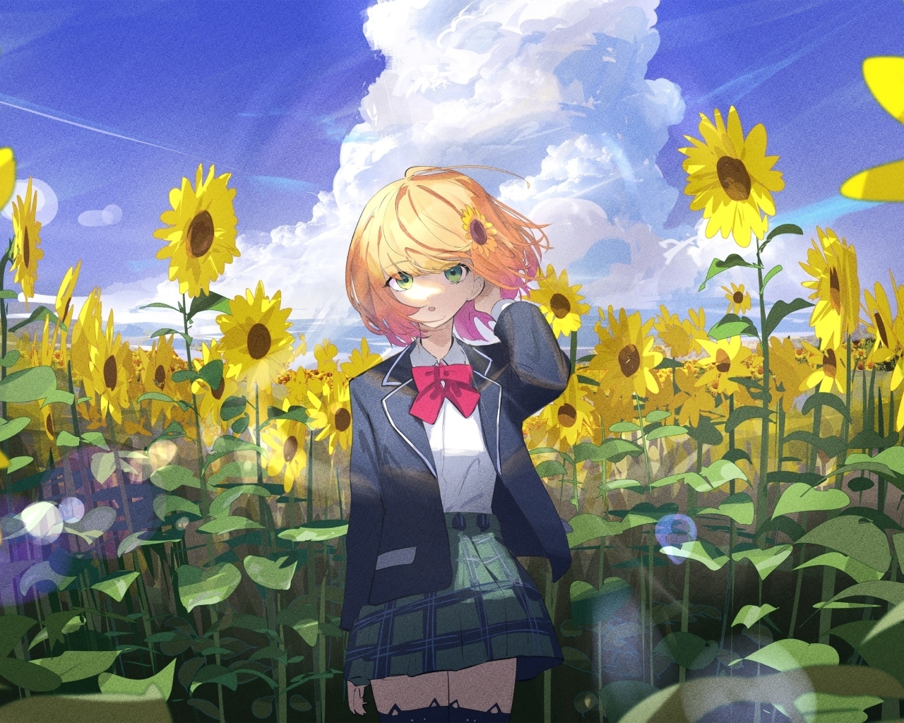 Девушка аниме на поле с подсолнухами