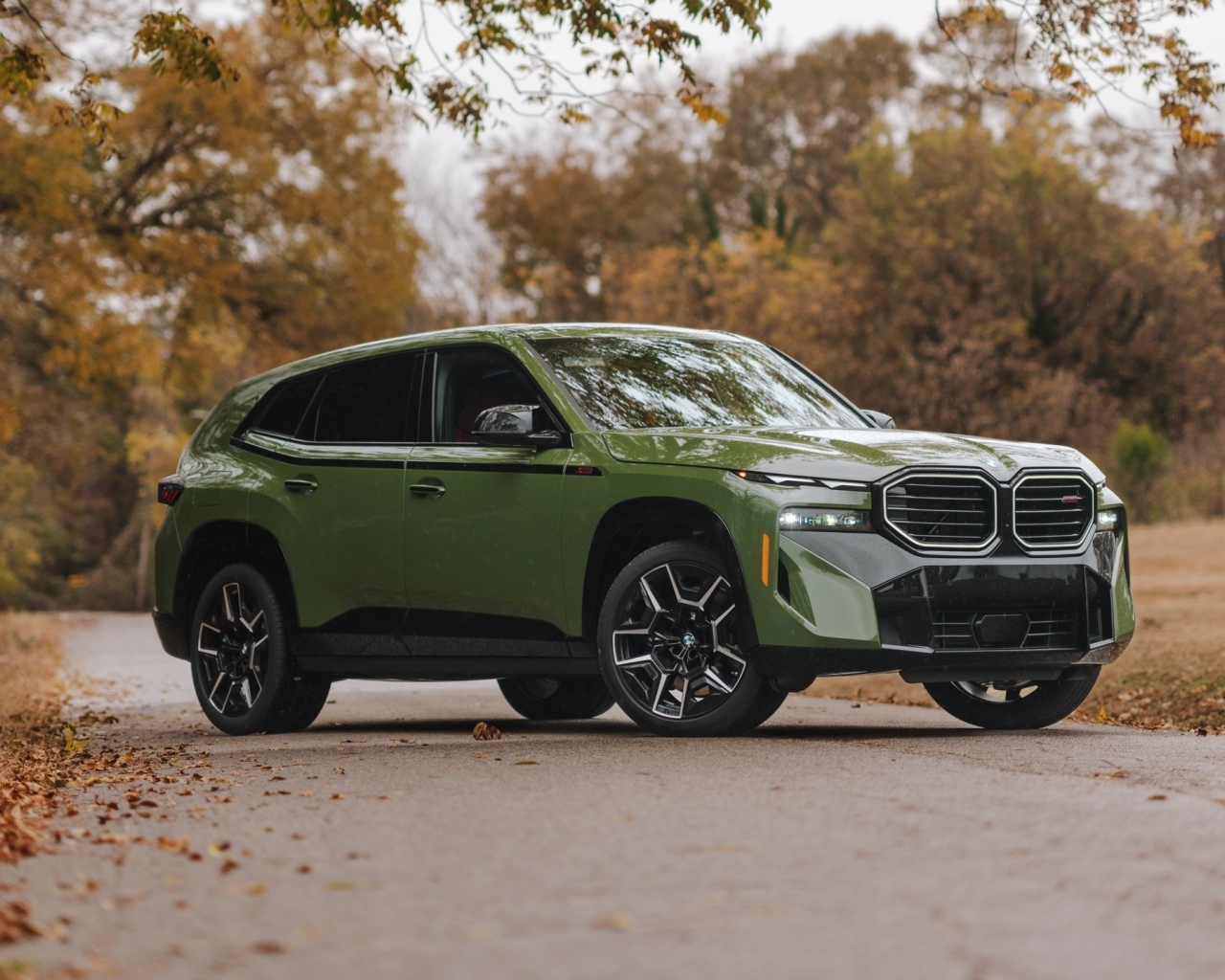 Зеленый внедорожник BMW XM Label 2024 года