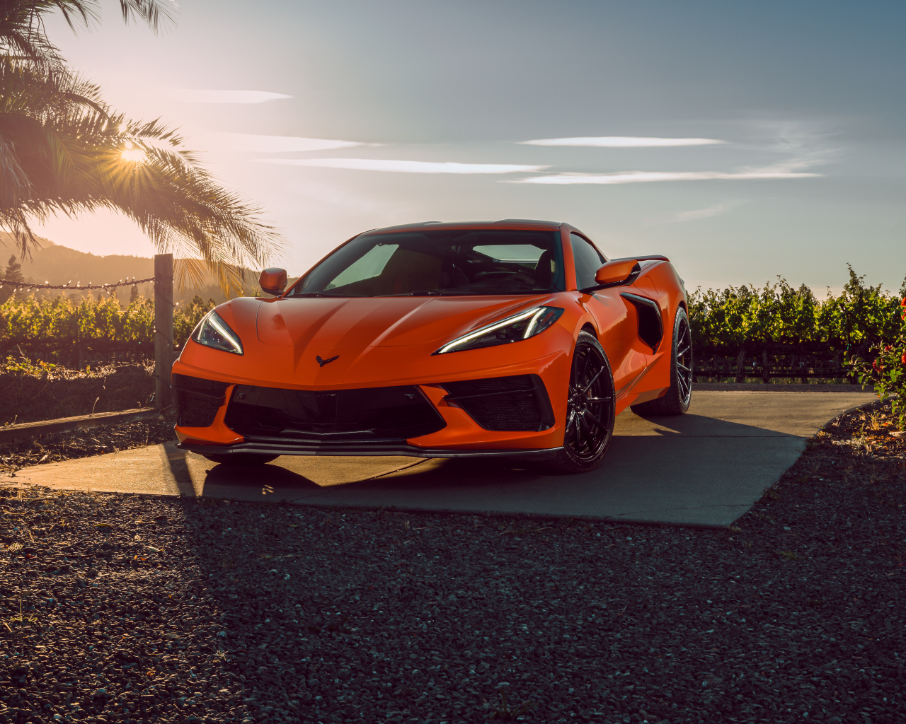 Автомобиль Chevrolet Corvette C8 в лучах солнца