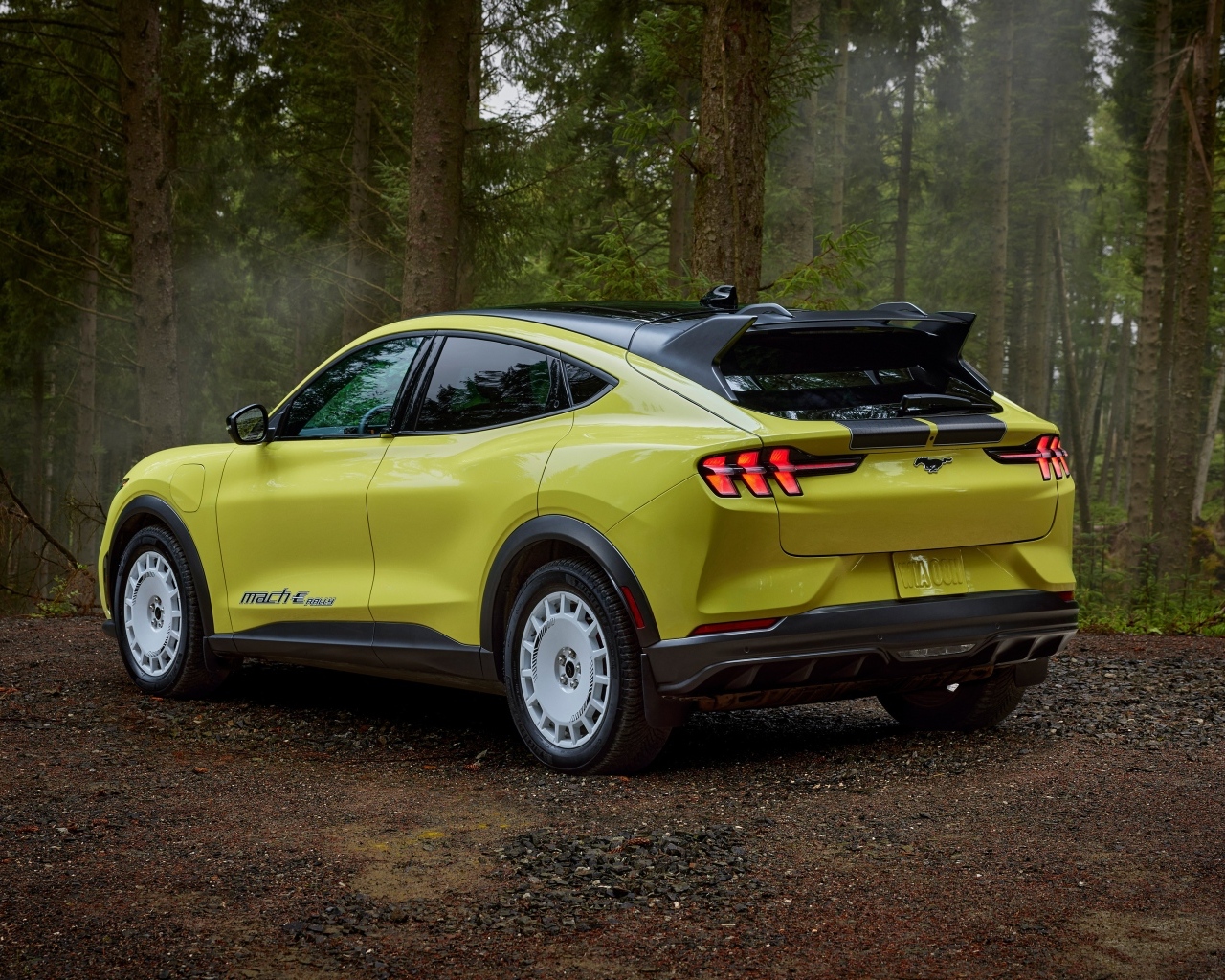 Автомобиль Ford Mustang Mach-E Rally 2024  года вид сзади
