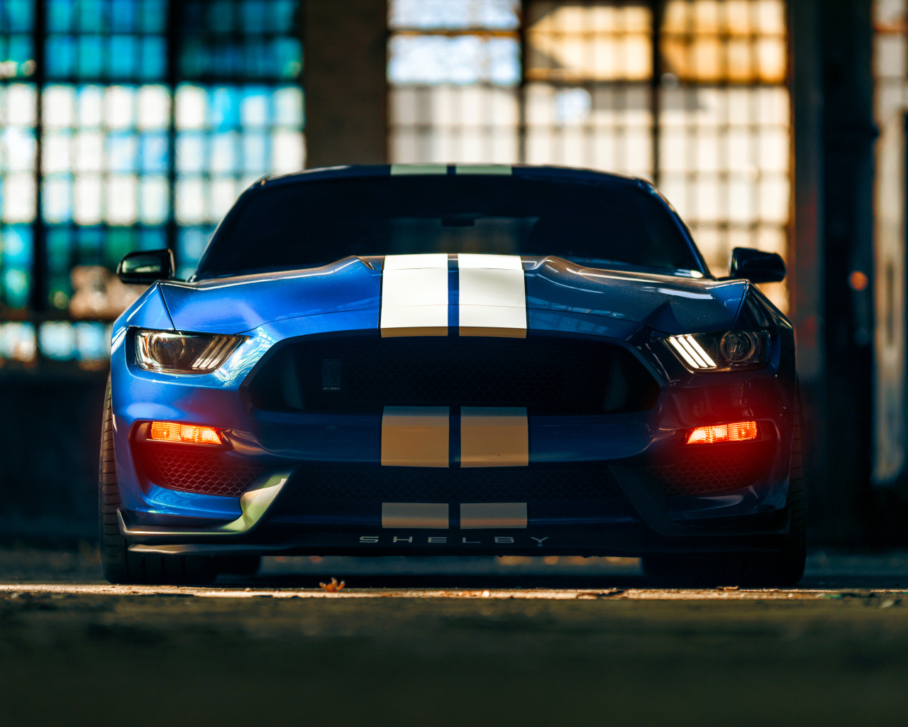 Красивый гоночный автомобиль Ford Mustang Shelby GT350 вид спереди