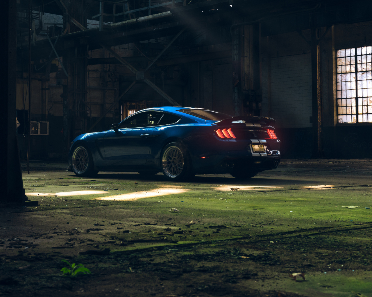 Автомобиль Ford Shelby GT350  вид сзади