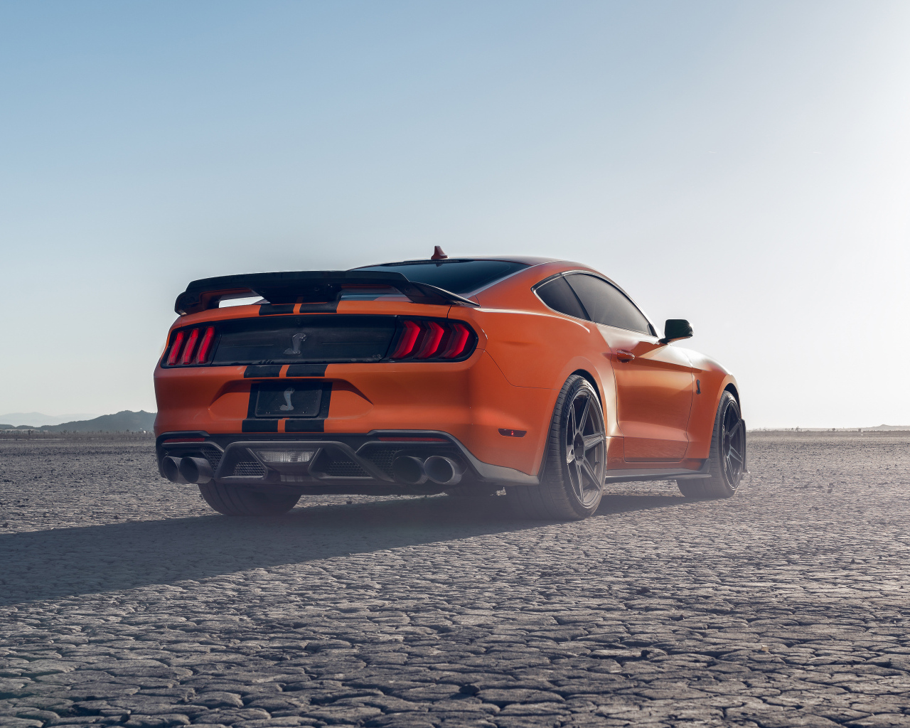 Быстрый Ford Shelby GT500 вид сзади