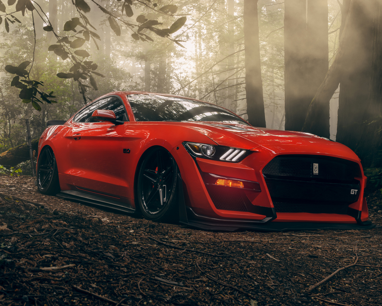 Красный автомобиль Ford Mustang GT в лесу