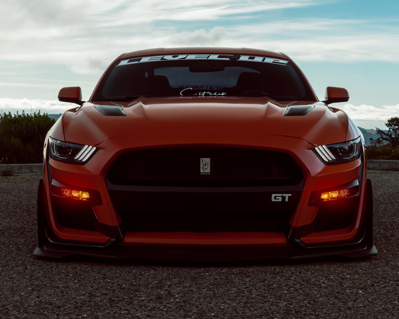 Красный спорткар Ford Shelby GT500 вид спереди