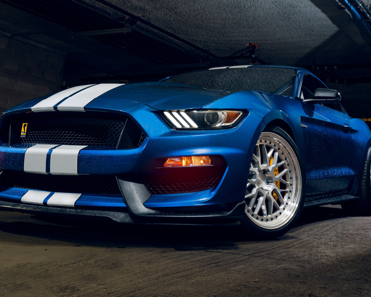 Мокрый синий автомобиль форд мустанг Shelby GT350