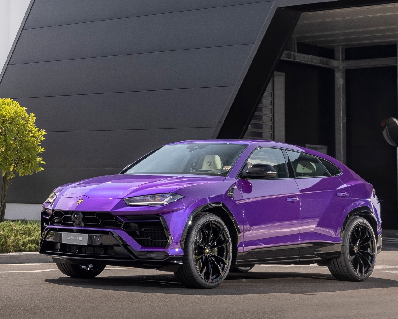 Сиреневый внедорожник Lamborghini Urus