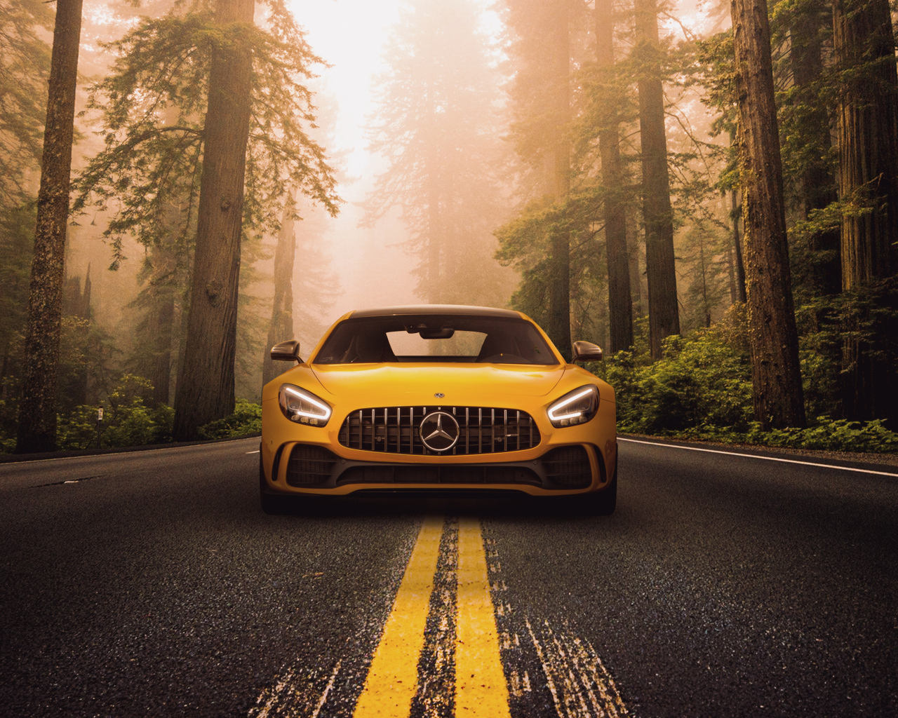 Автомобиль Mercedes-Benz AMG GT R на трассе в лесу