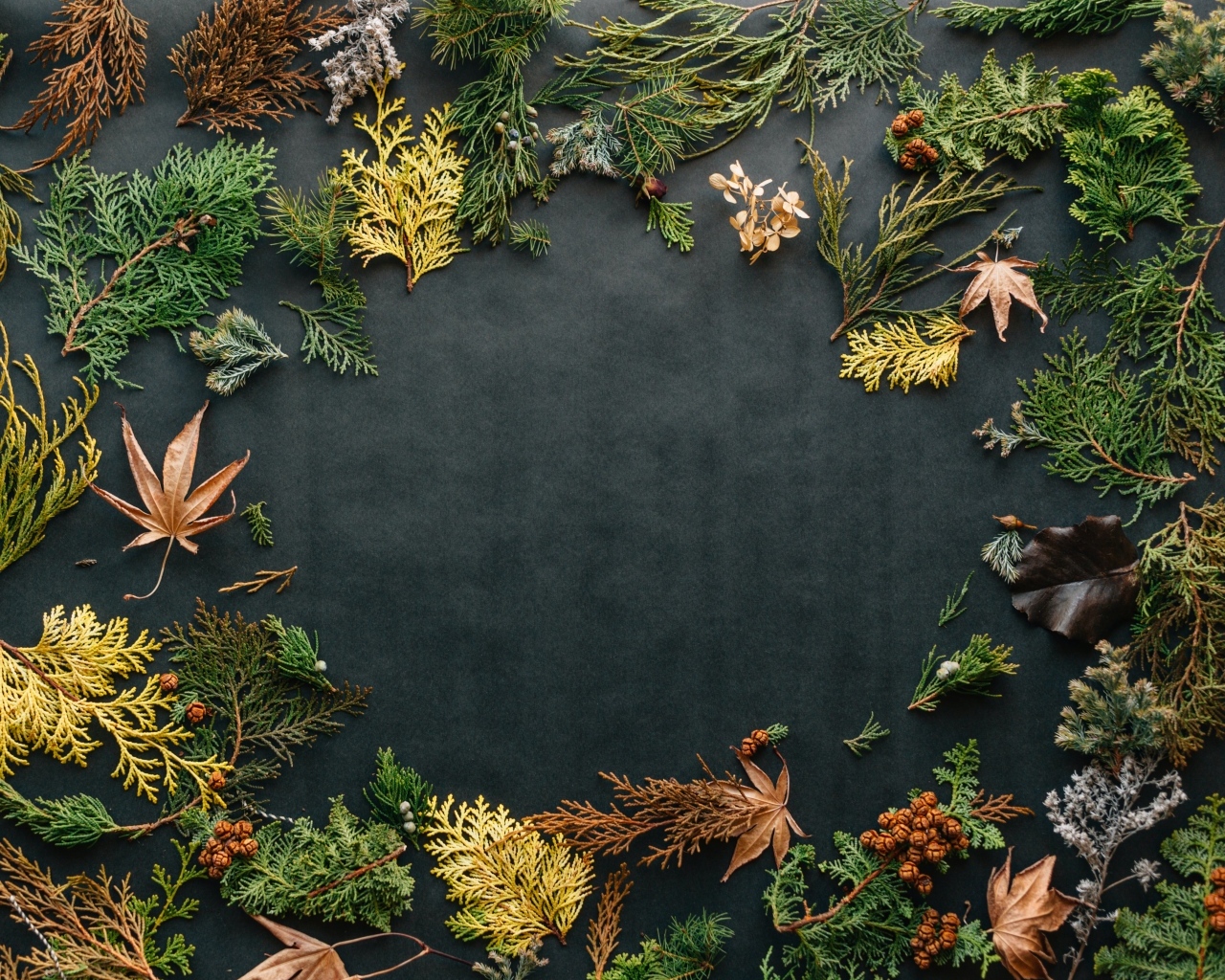 Серый фон с растениями