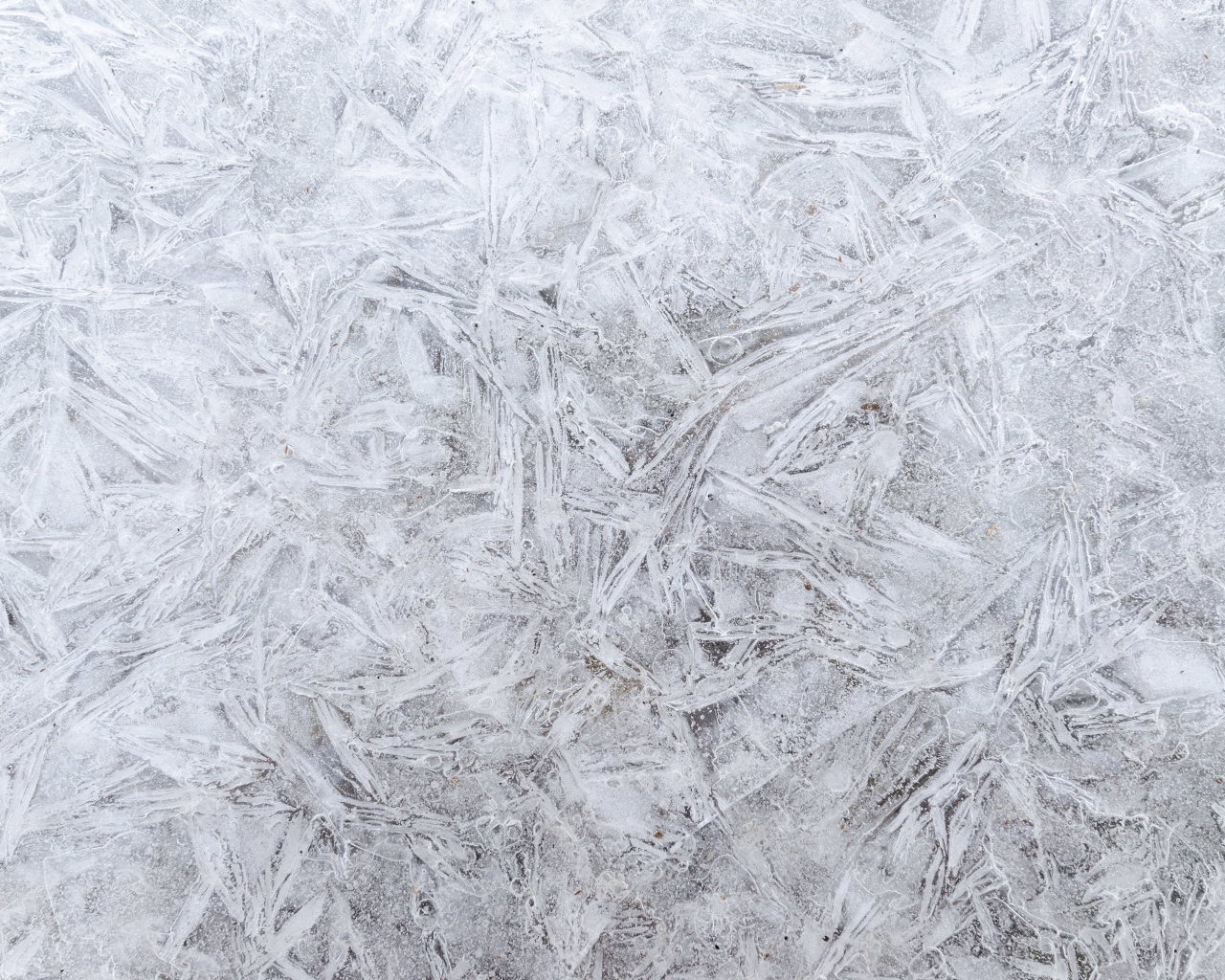 Стена покрашена белой краской для фона