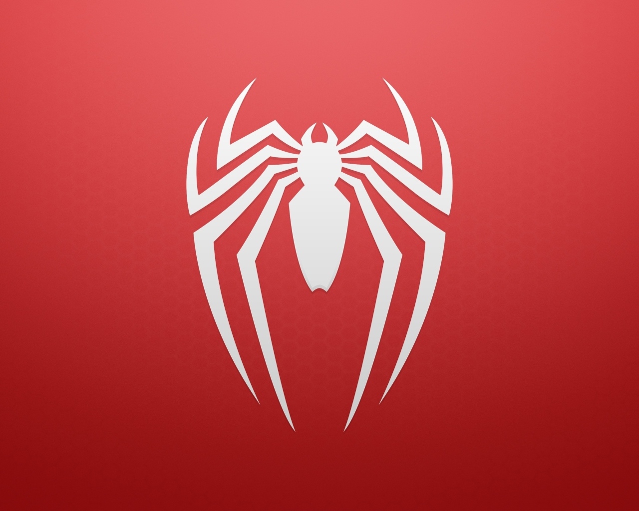 Белый паук на красном фоне