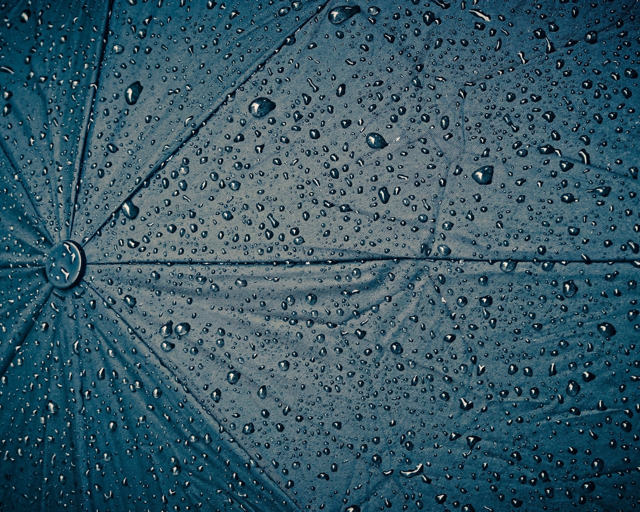 Черный зонт в каплях дождя