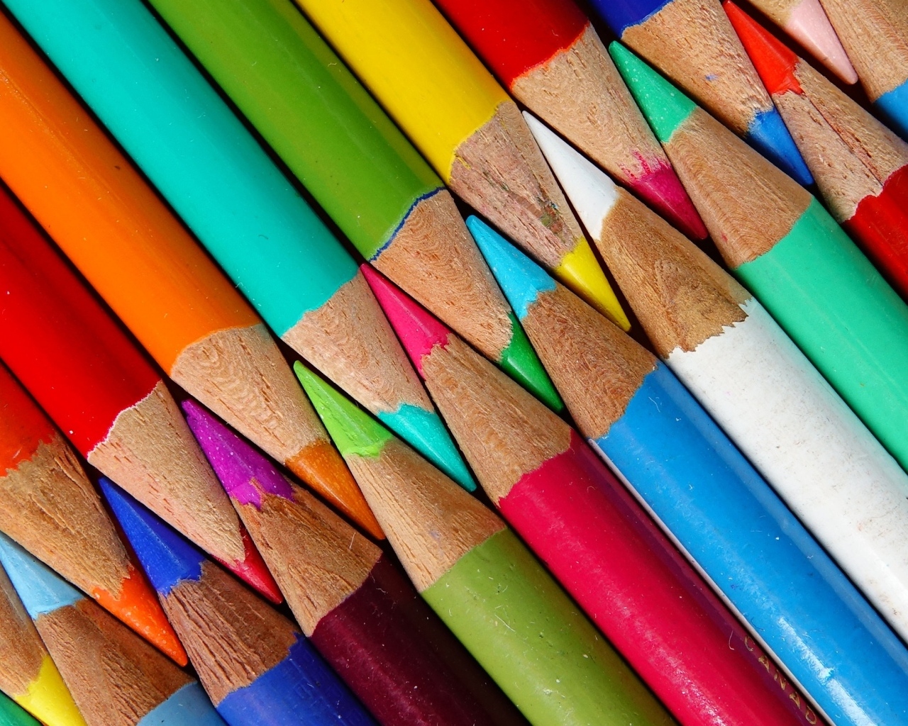 Разноцветные заточенные карандаши