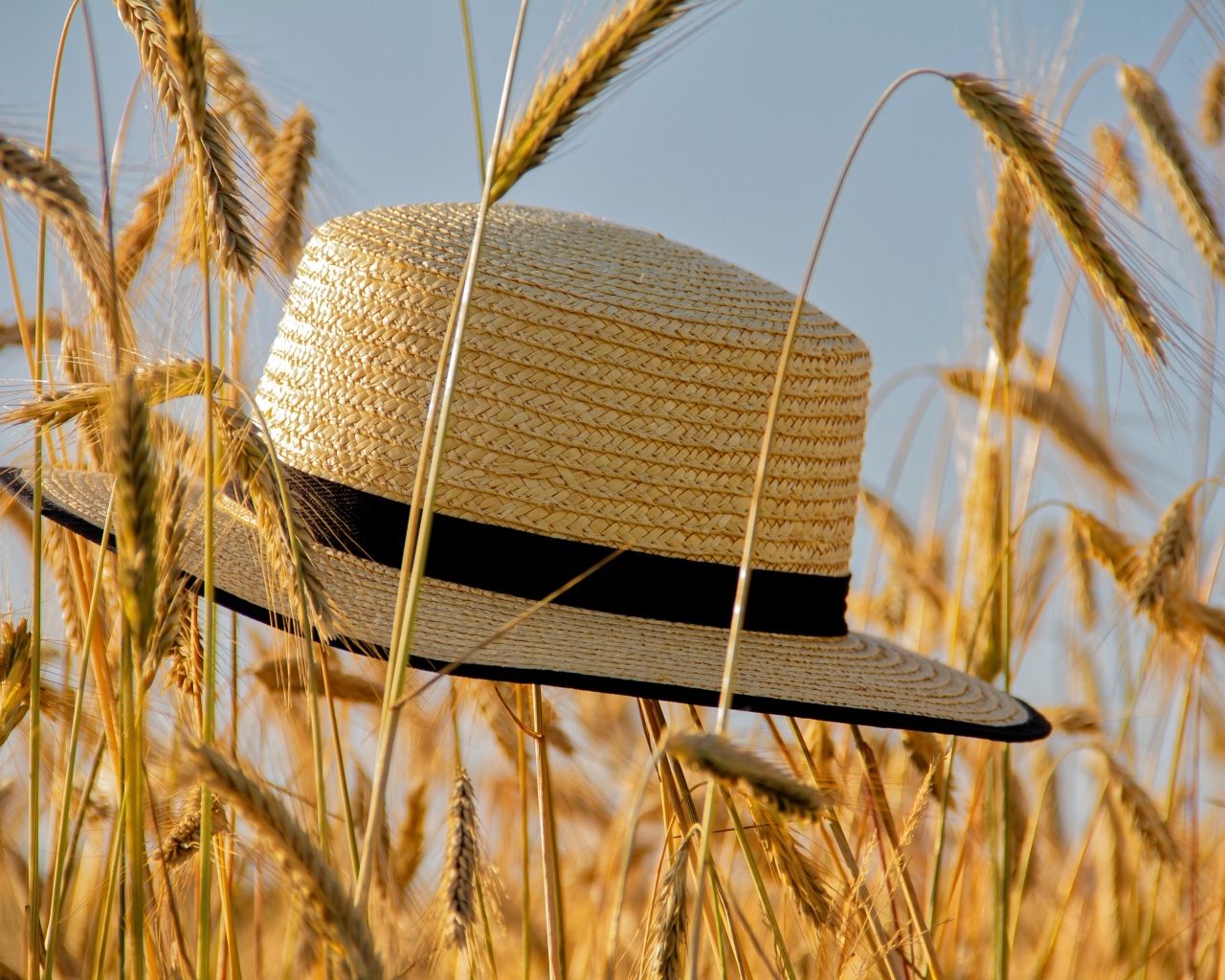 Соломенная шляпа на поле с пшеницей