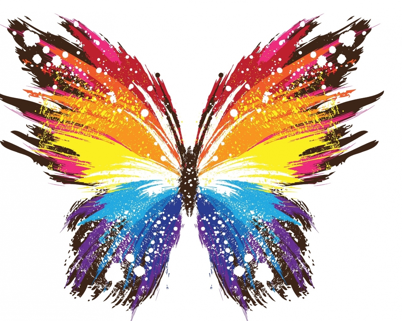 Разноцветная нарисованная бабочка на белом фоне