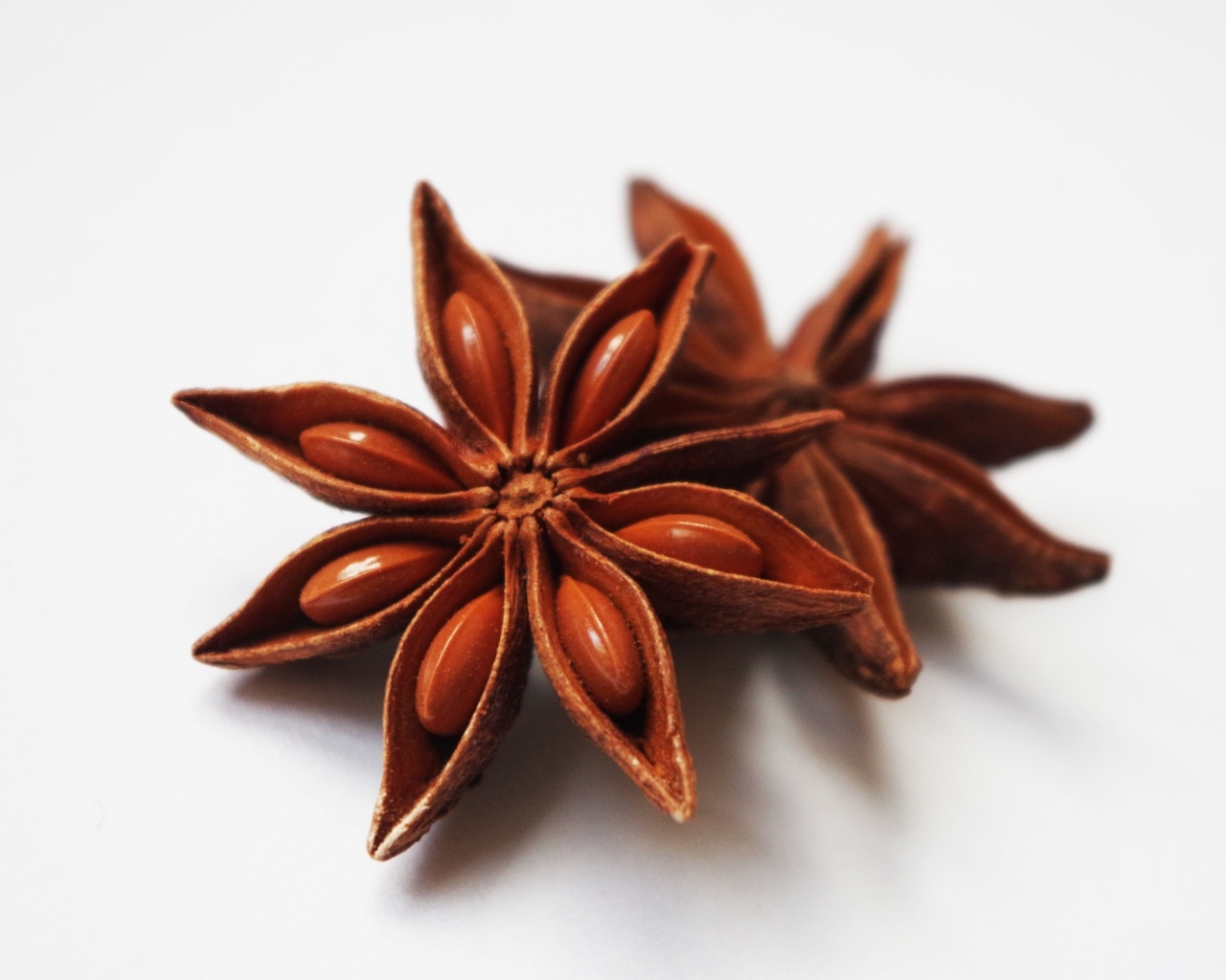 Звезды аниса на белом фоне