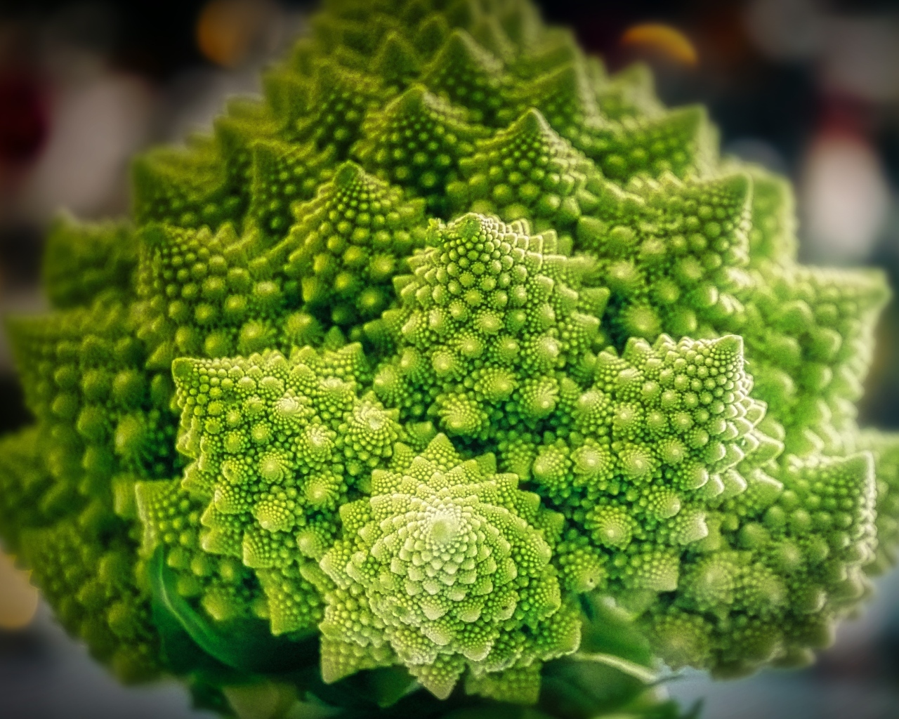 Красивая цветная капуста романеско