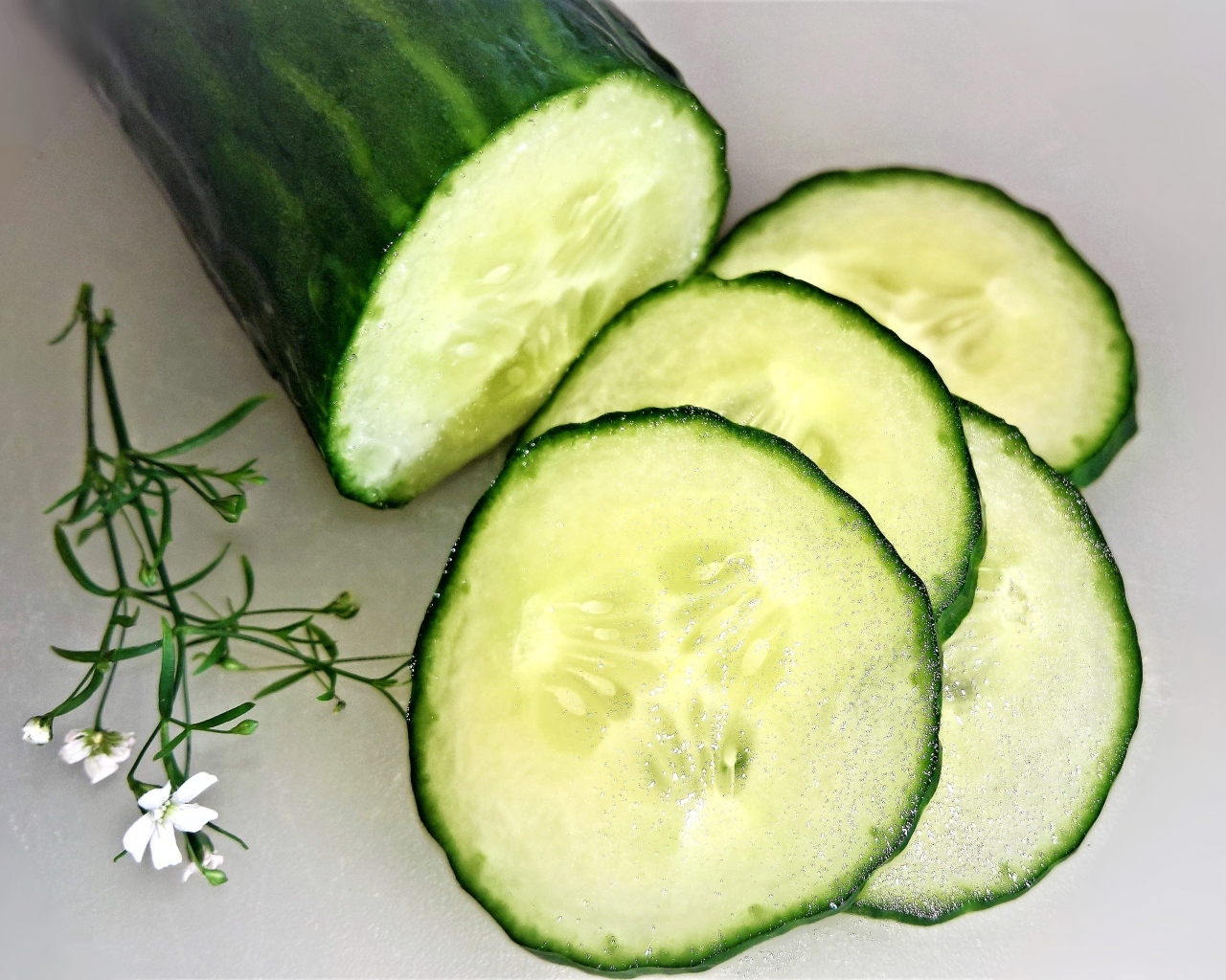 Большой свежий зеленый огурец на сером фоне