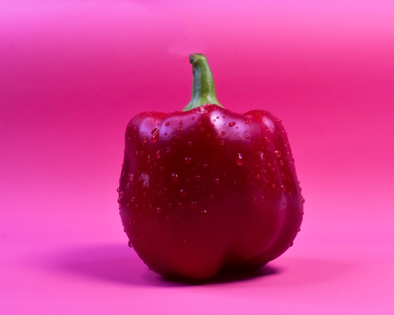 Большой красный перец на розовом фоне