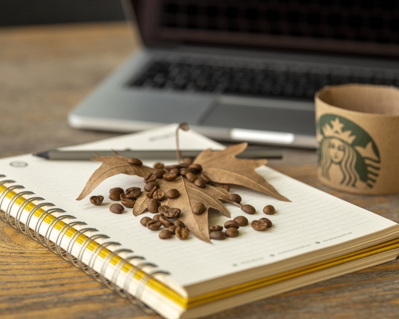 Зерна кофе с листом и блокнотом на столе
