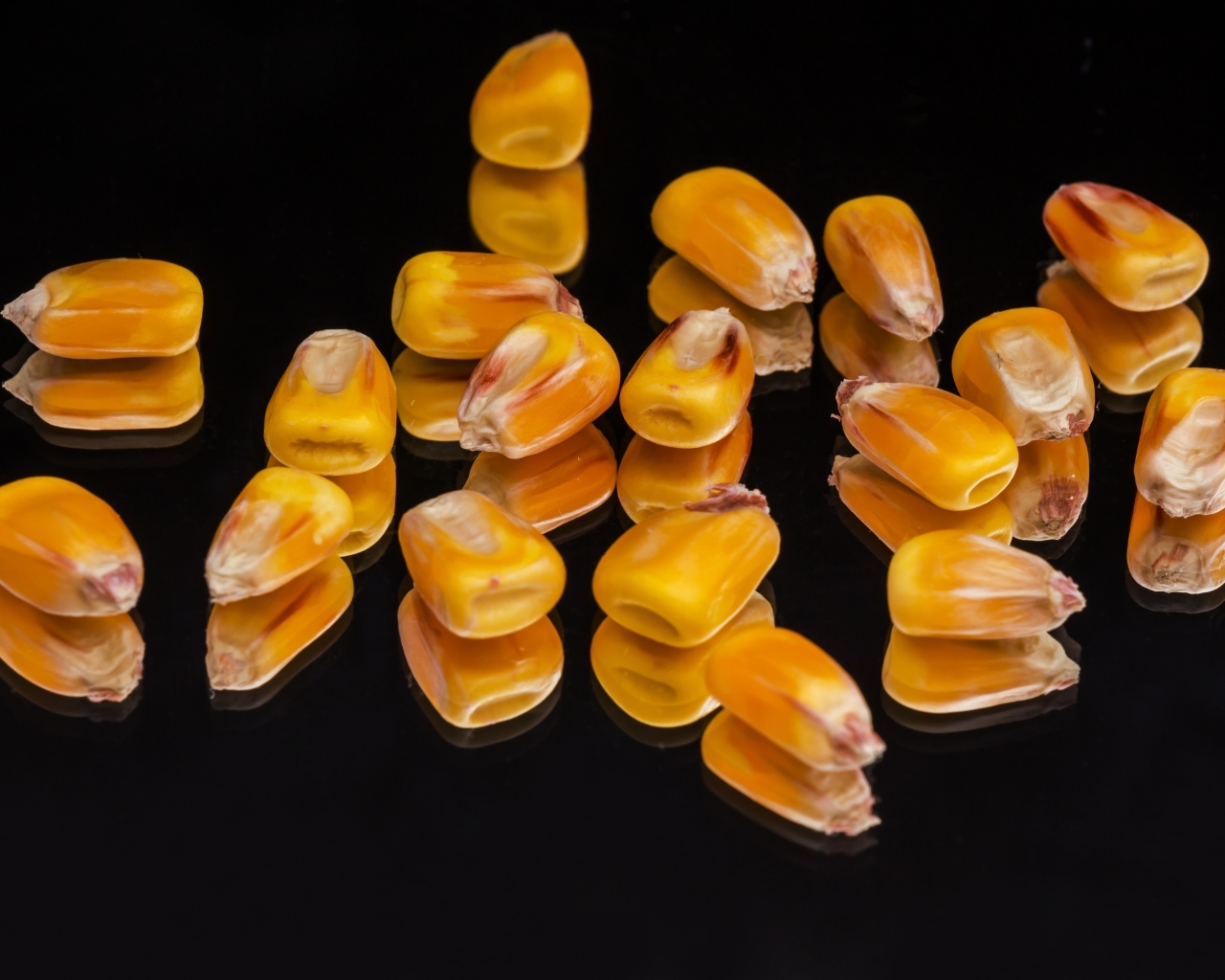 Зерна кукурузы на черном фоне