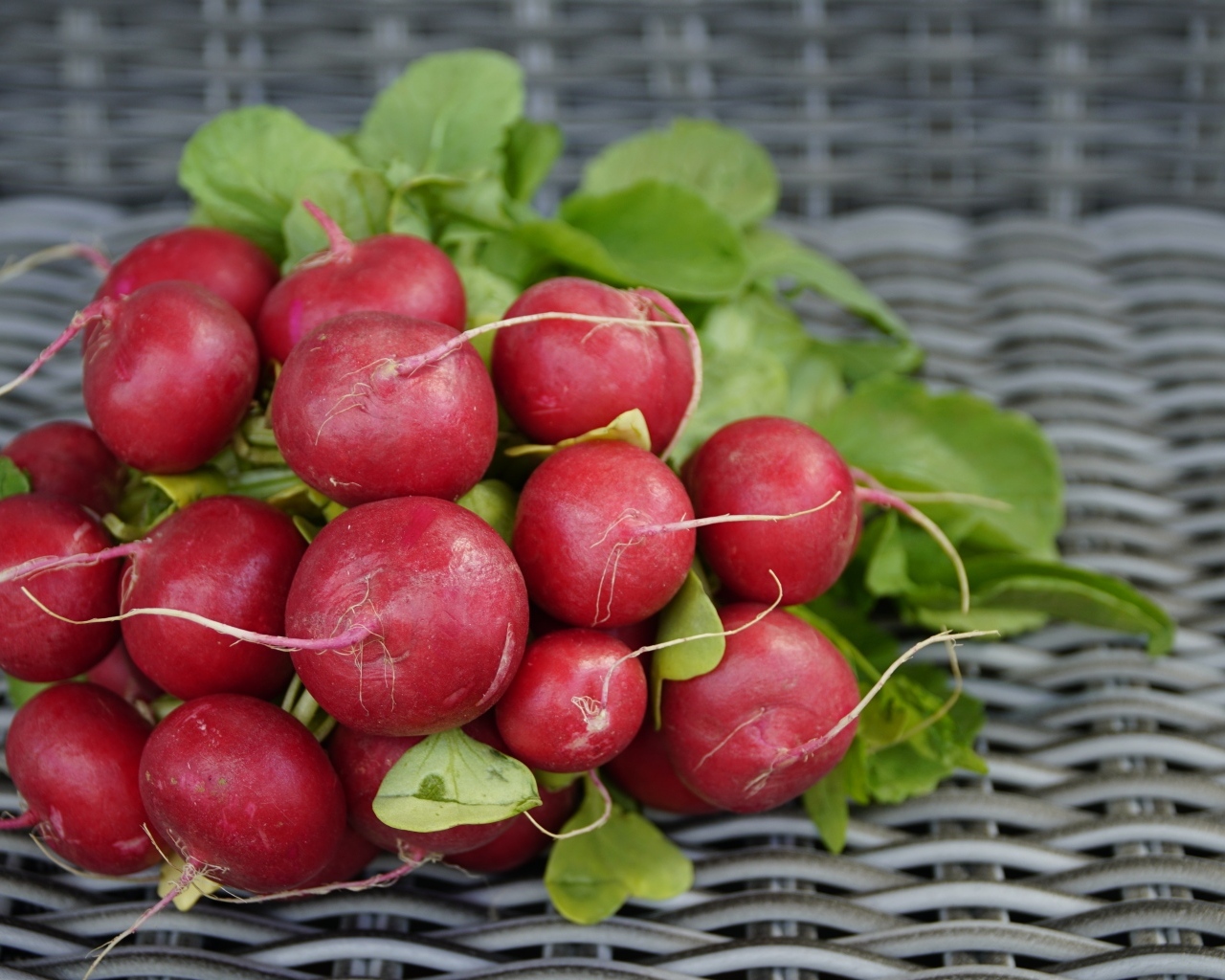Свежий красный редис на столе