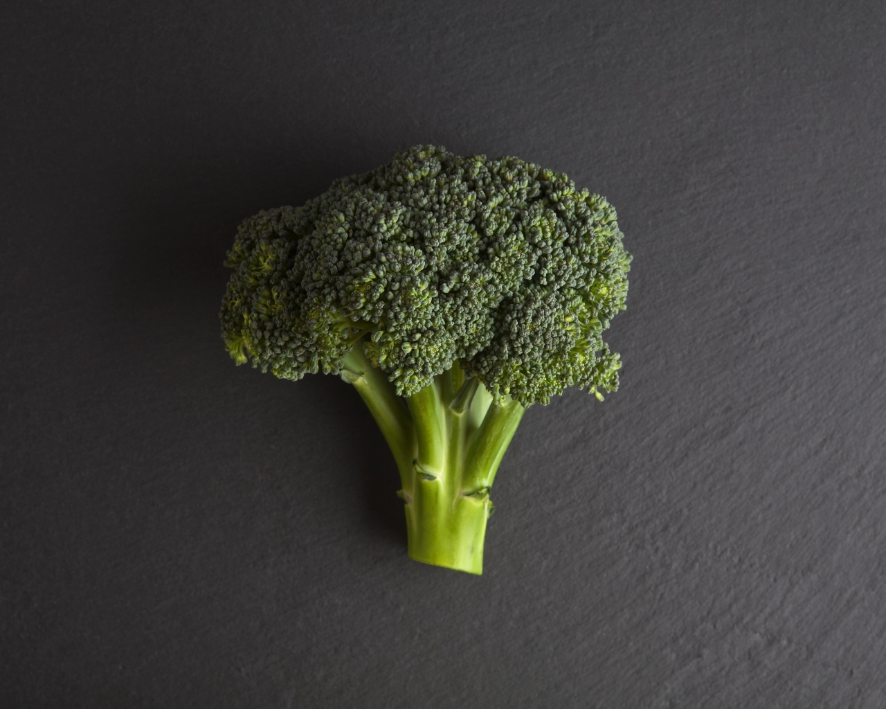 Зеленое брокколи на сером столе