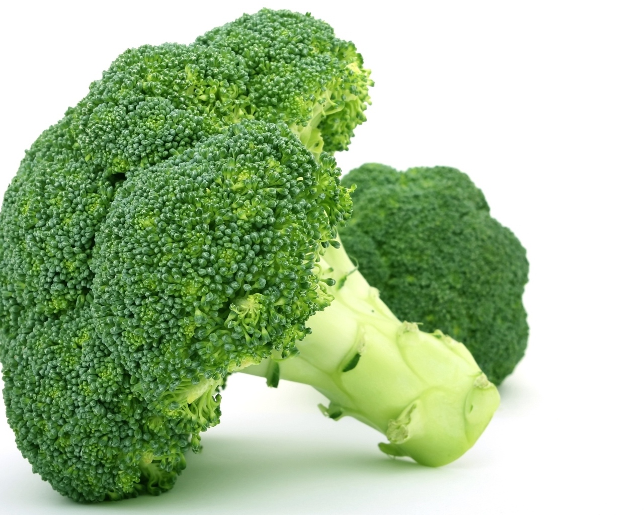 Зеленое брокколи на белом фоне вблизи