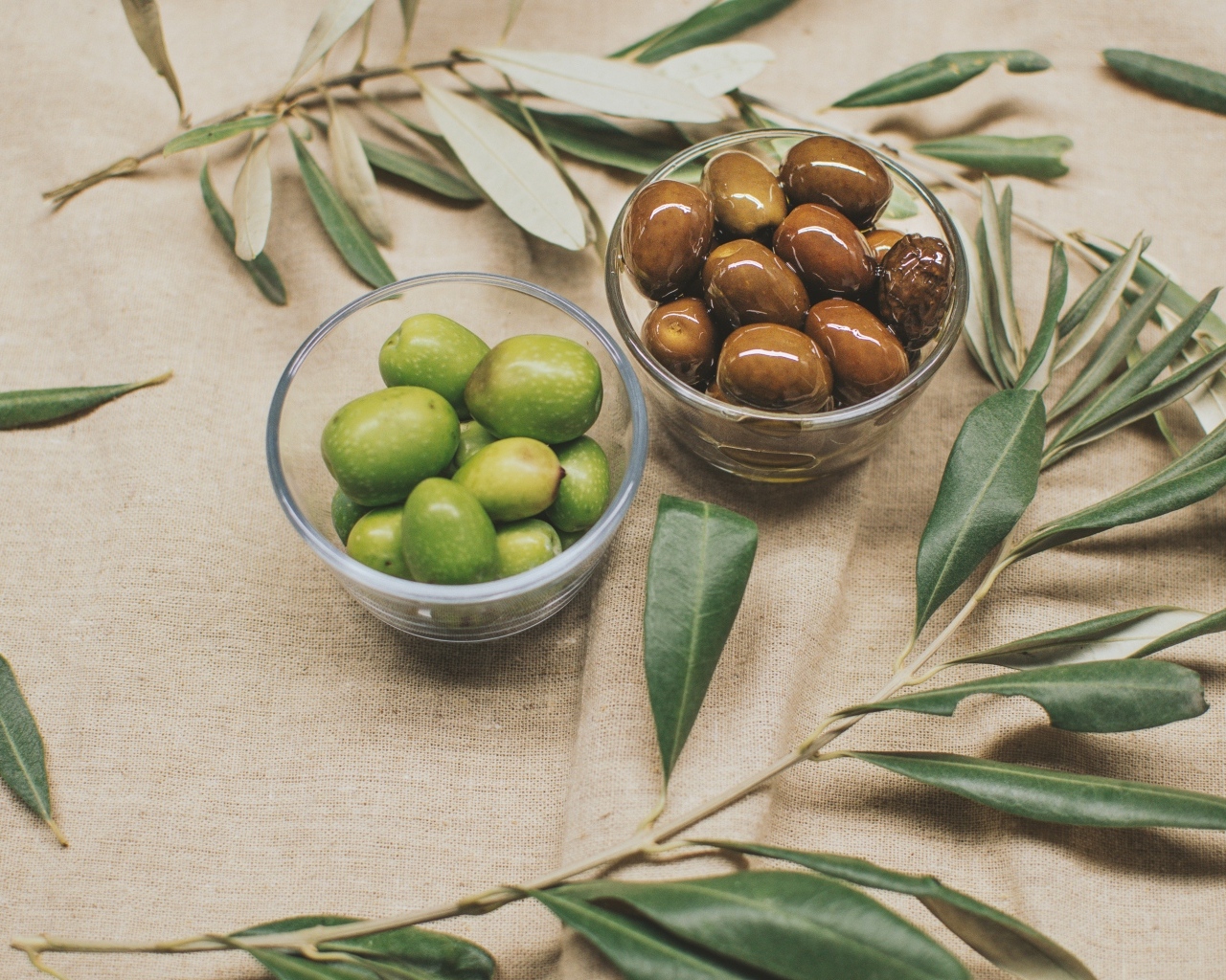 Оливки на столе с ветками