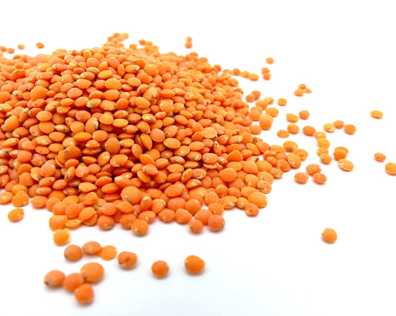 Оранжевая чечевица на белом фоне