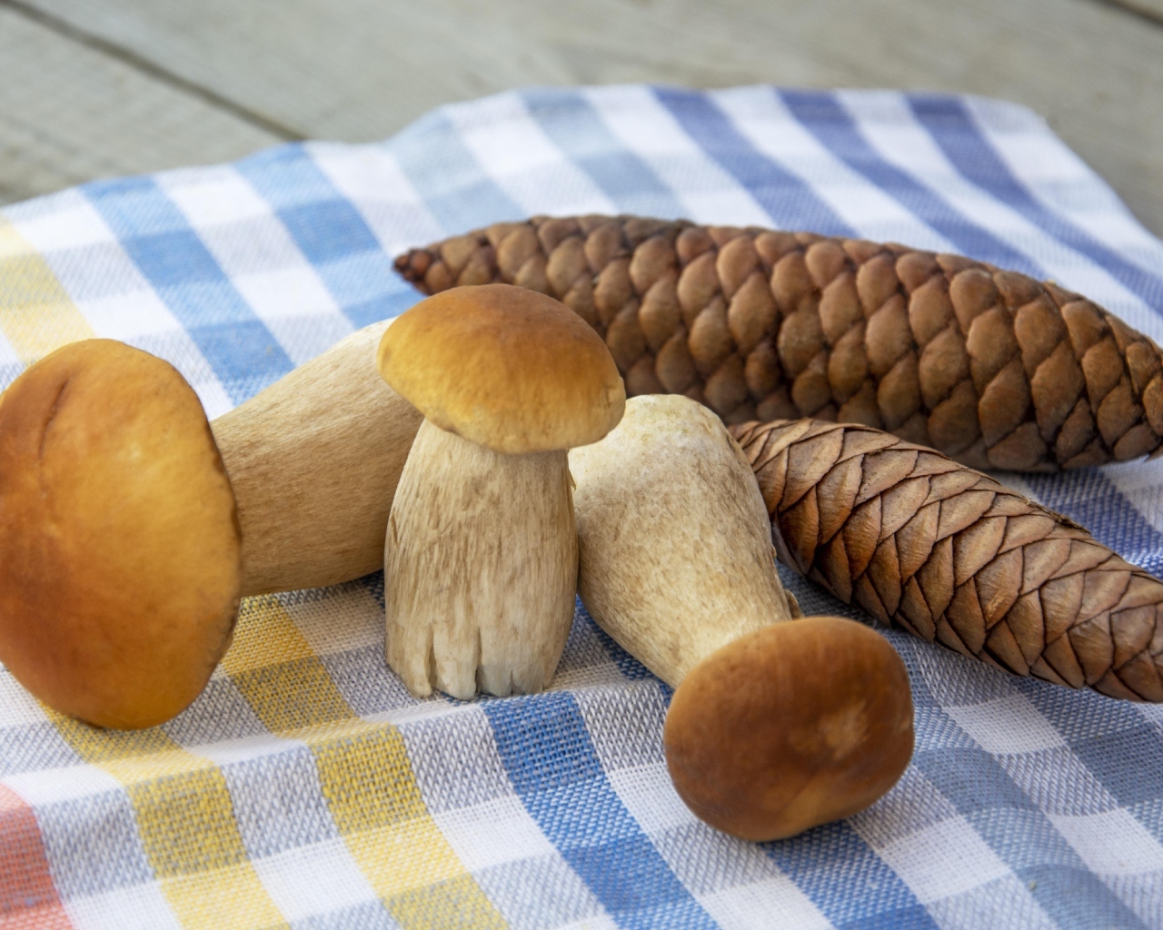 Белые грибы с шишками на столе