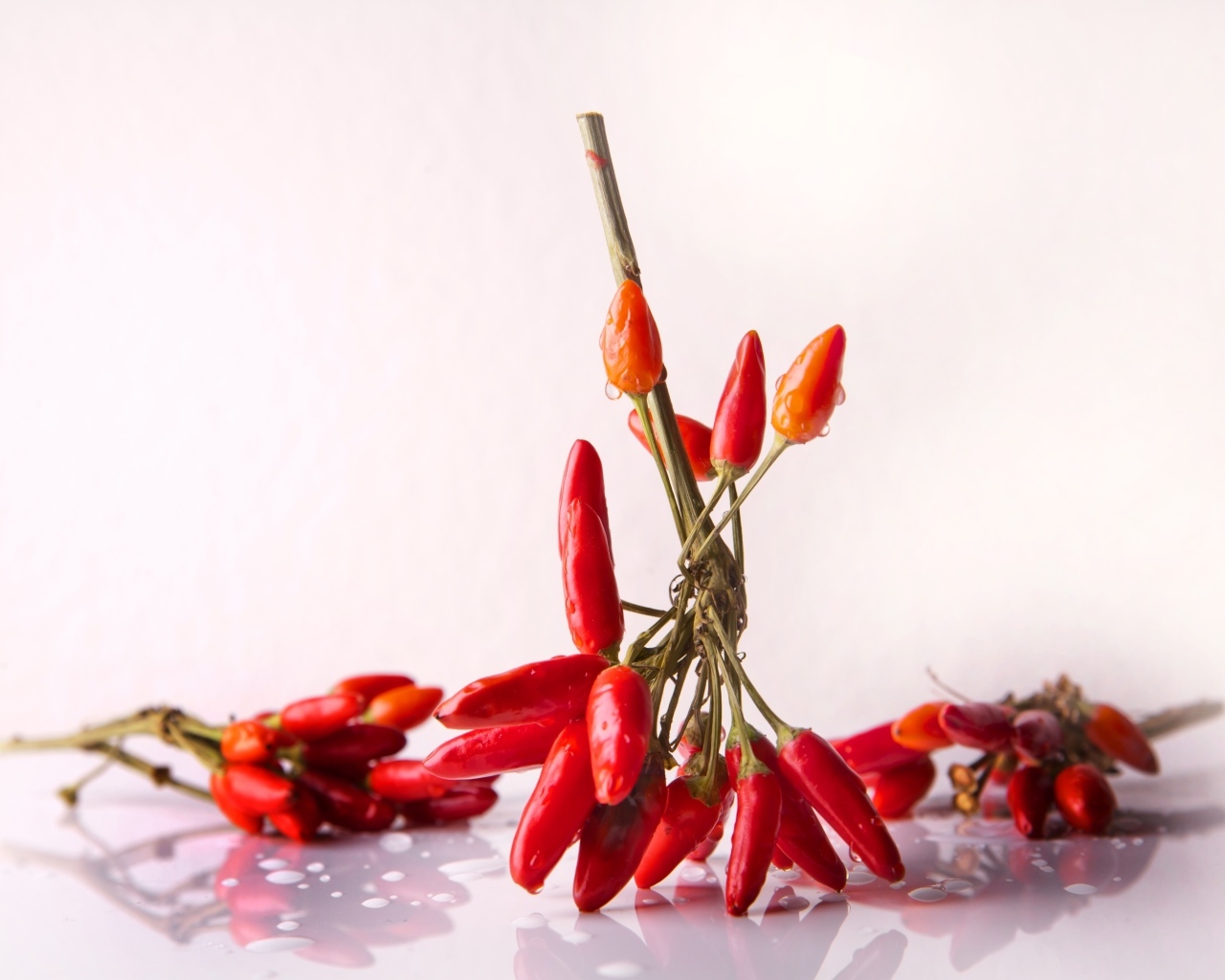 Красный острый перец на белом фоне