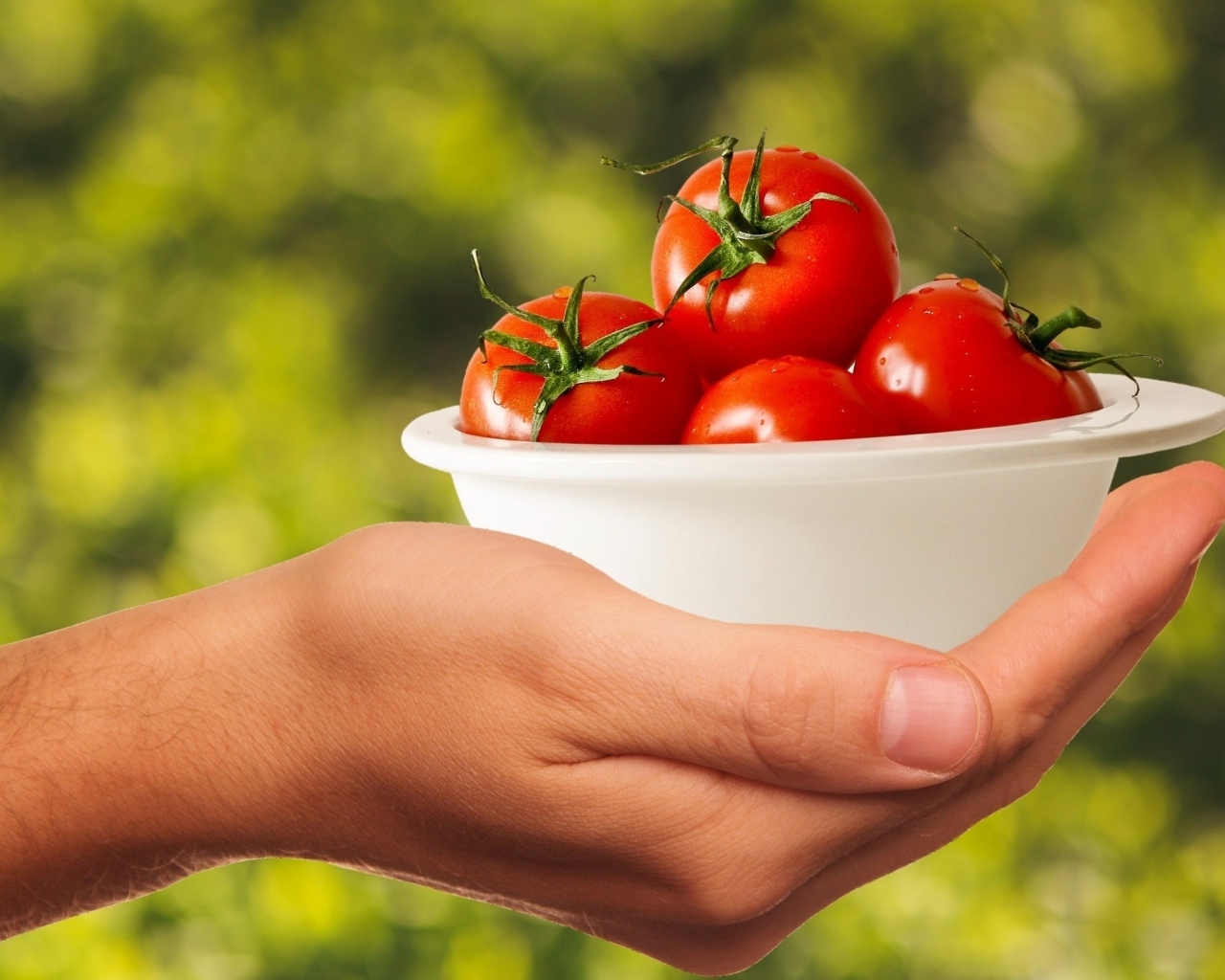 Спелые томаты в белой тарелке на руке