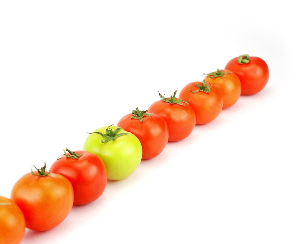 Ряд из помидоров на белом фоне