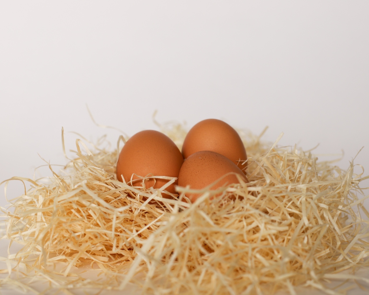 Три куриных яйца лежат в гнезде