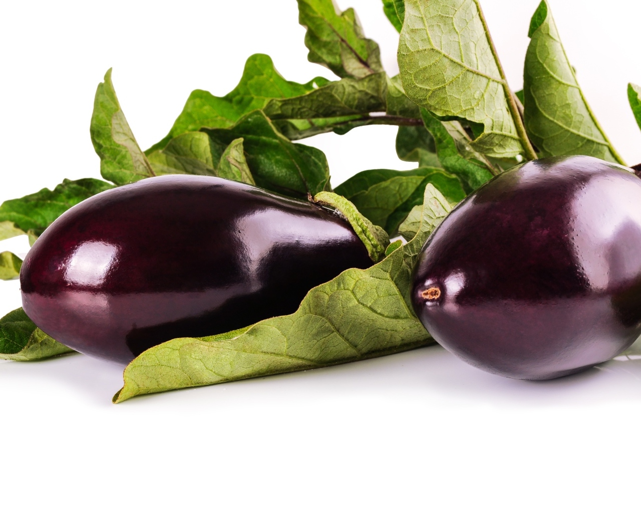 Два больших баклажана с листьями на белом фоне