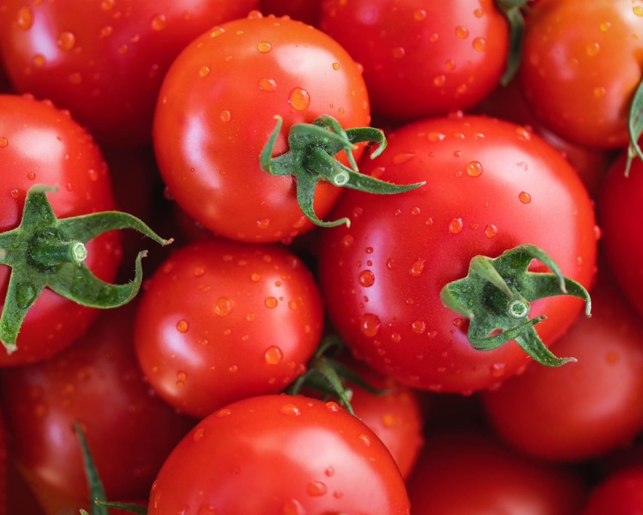 Мокрые чистые красные помидоры крупным планом