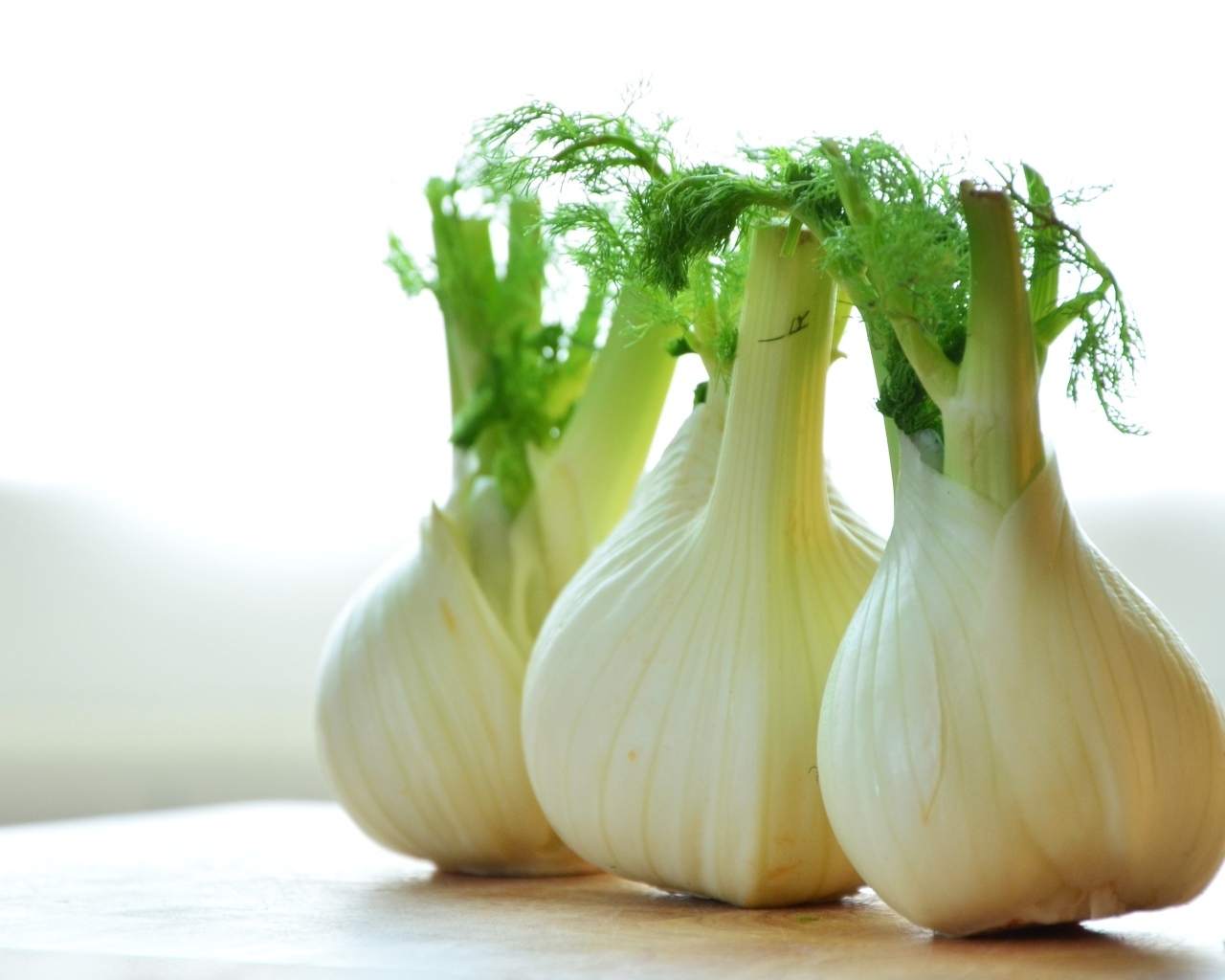 Белые луковицы фенхеля на столе