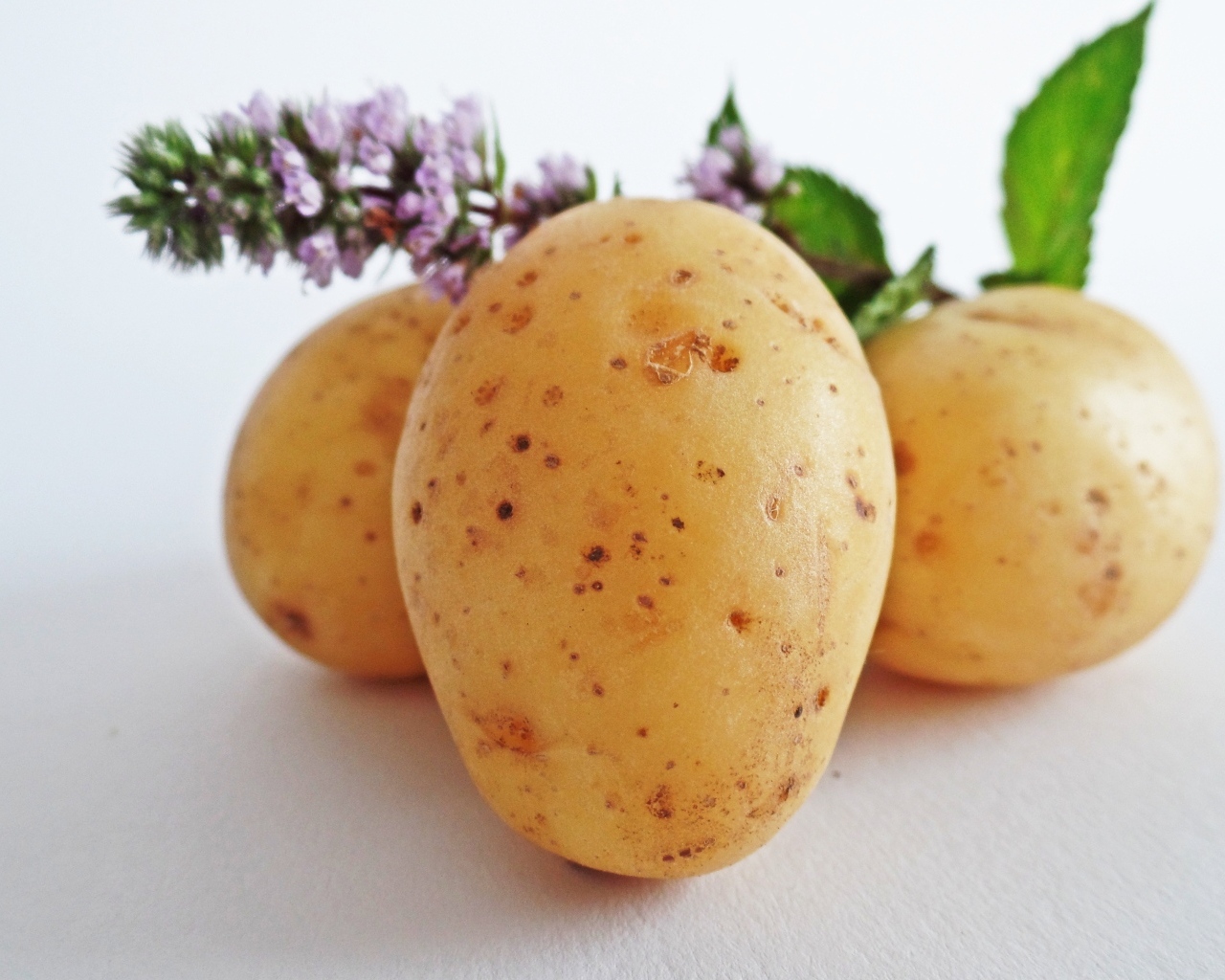 Молодой картофель с цветами мяты