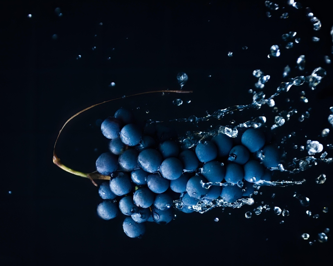 Гроздь синего винограда в брызгах воды на черном фоне