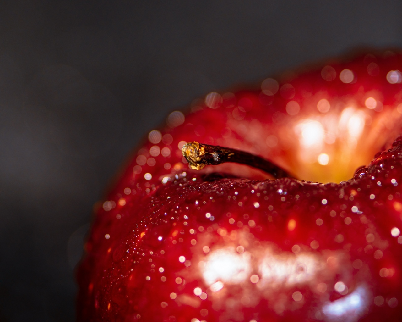 Большое мокрое красное яблоко на сером фоне