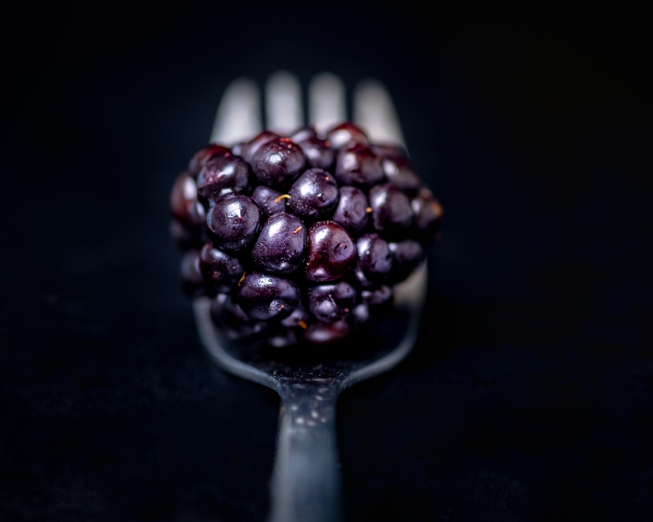 Ягода ежевики на вилке на черном фоне