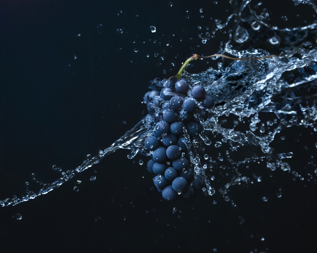 Гроздь синего винограда в воде на черном фоне