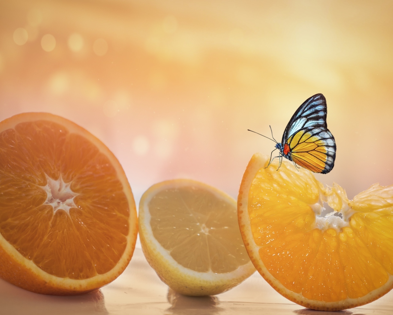 Большие оранжевые апельсины и лимон с бабочкой