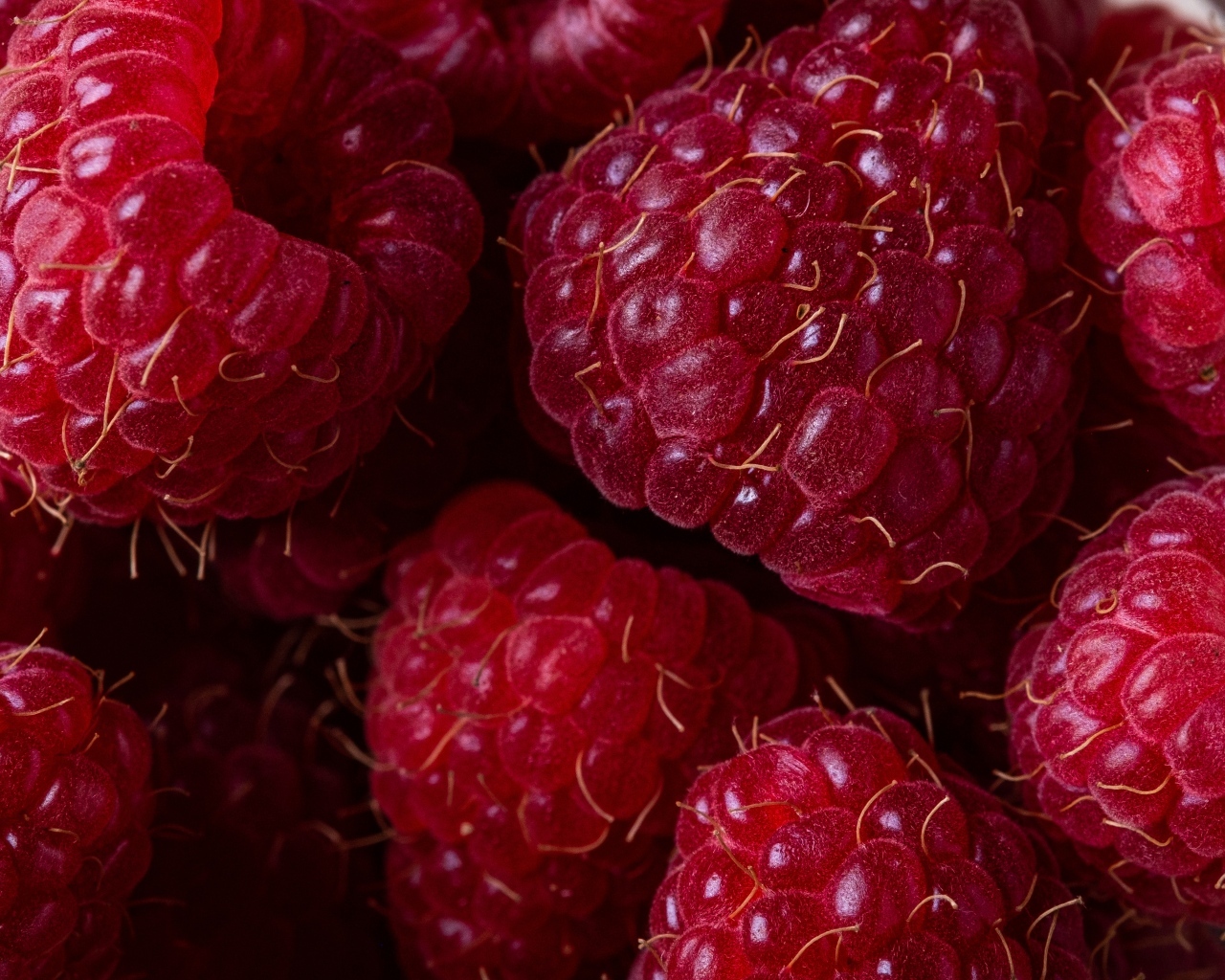 Крупная спелая красная малина