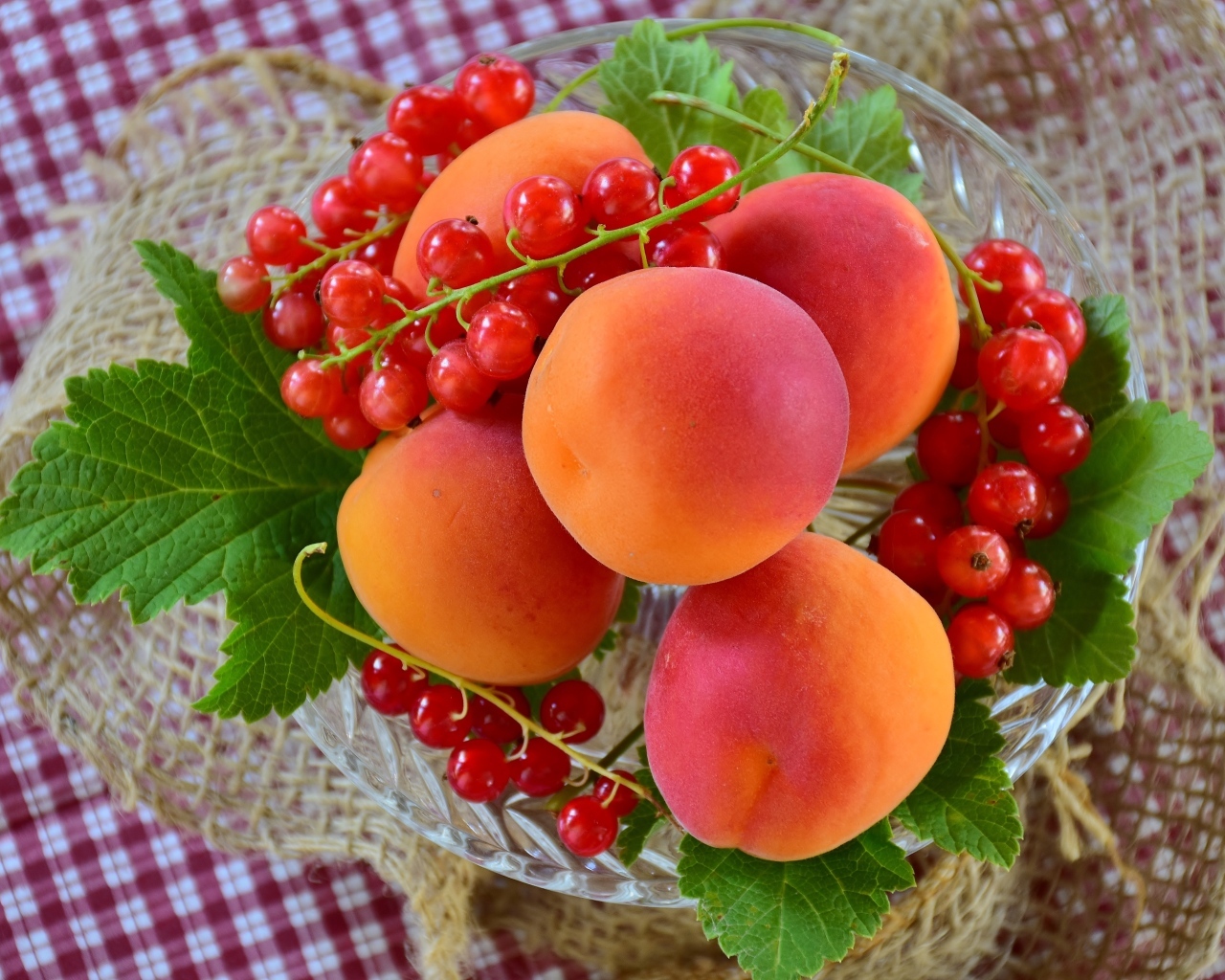 Большие сладкие абрикосы с красной смородиной