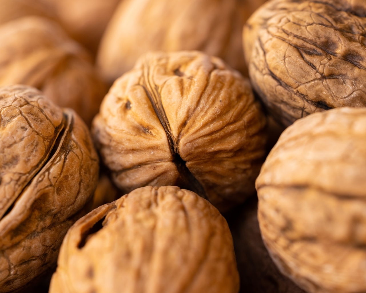 Крупные грецкие орехи